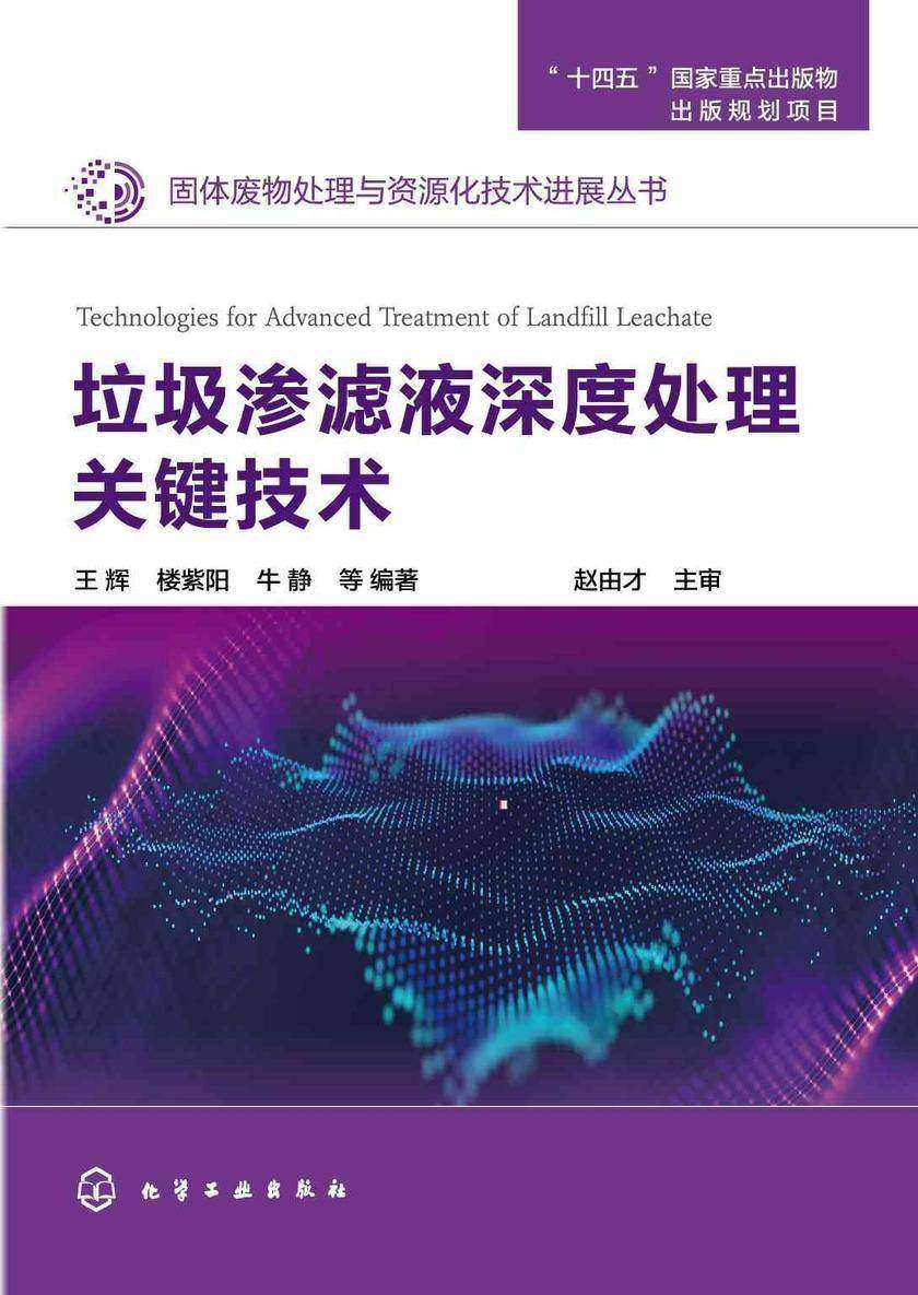 固体废物处理与资源化技术进展丛书--垃圾渗滤液深度处理关键技术