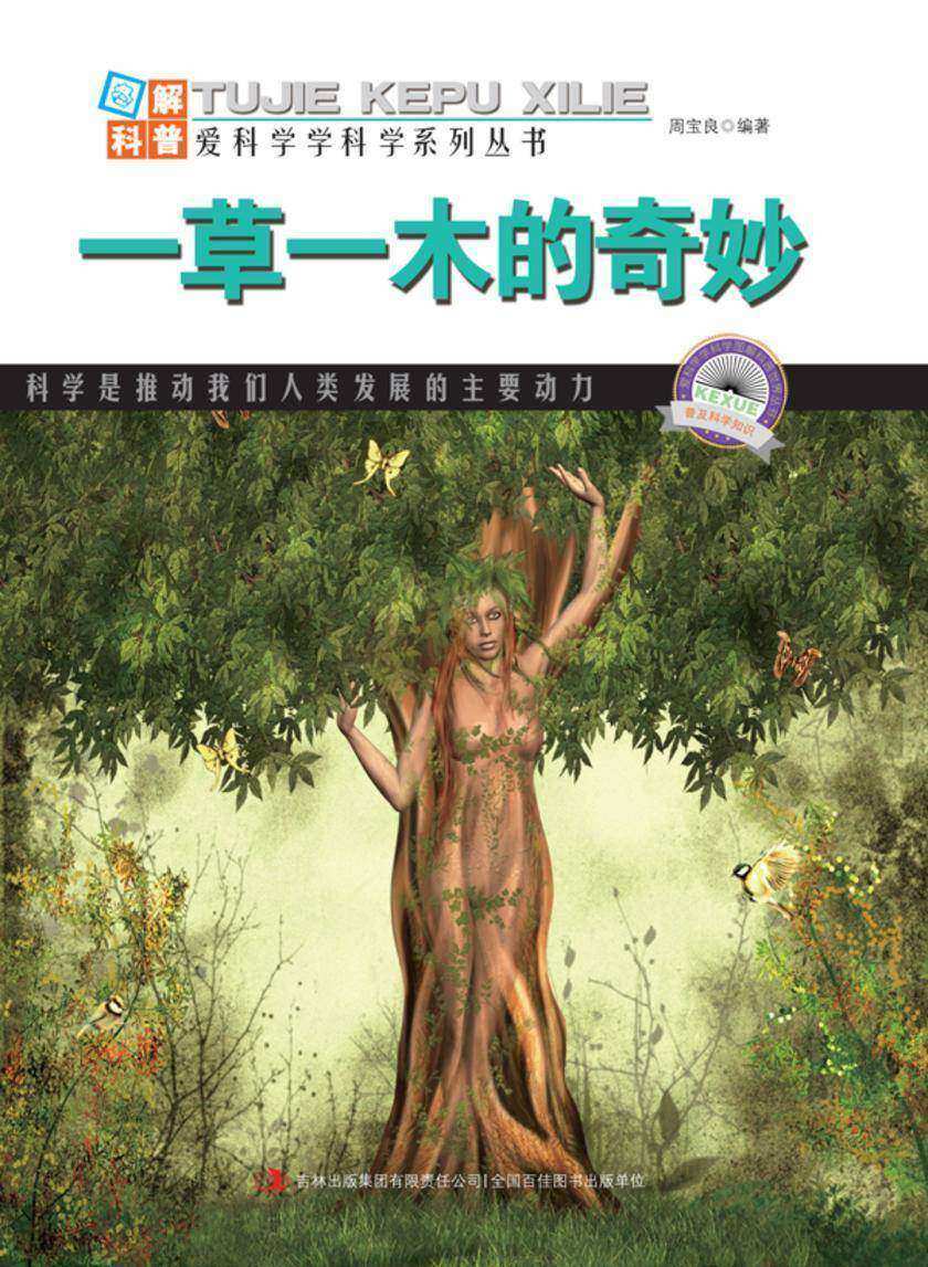 一草一木的奇妙