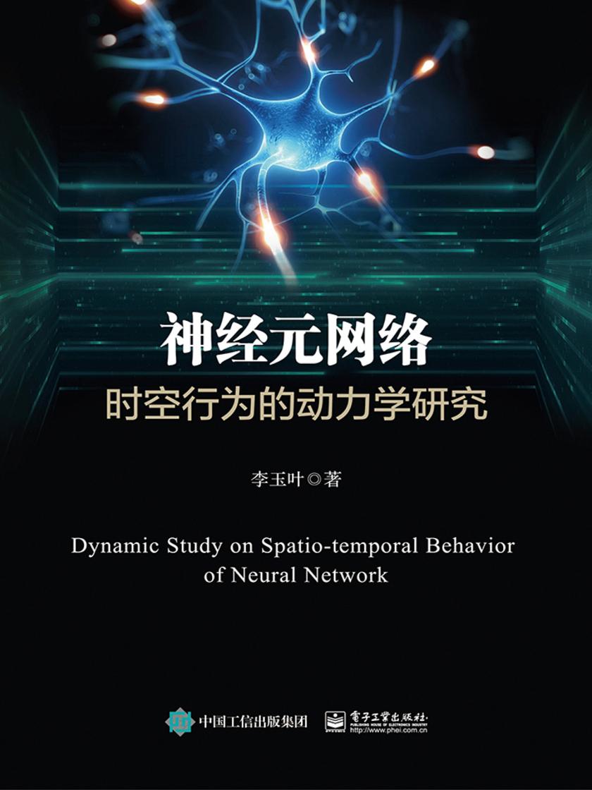 神经元网络时空行为的动力学研究