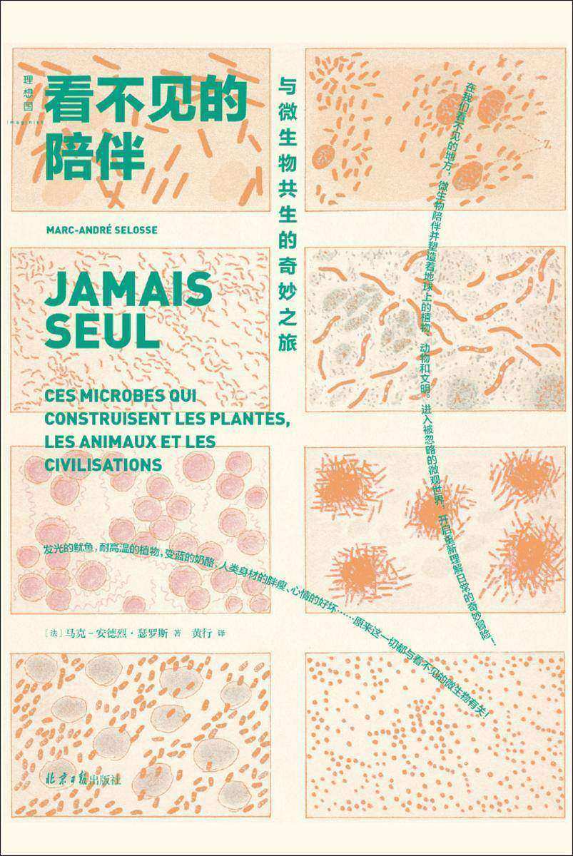 看不见的陪伴:与微生物共生的奇妙之旅
