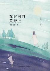 在时间的荒野上