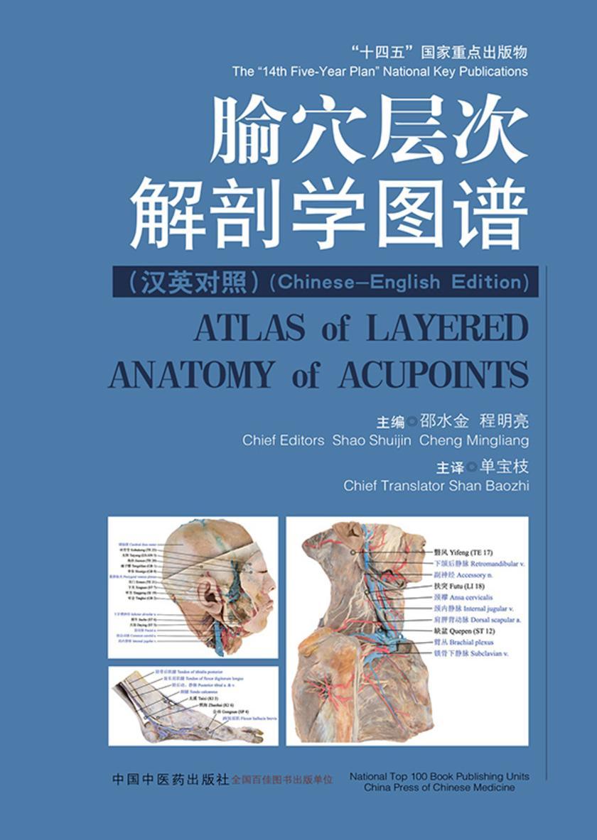 腧穴层次解剖学图谱:汉英对照
