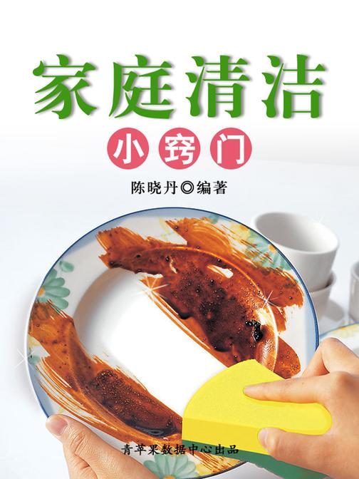 家庭清洁小窍门(实用的居家小书)