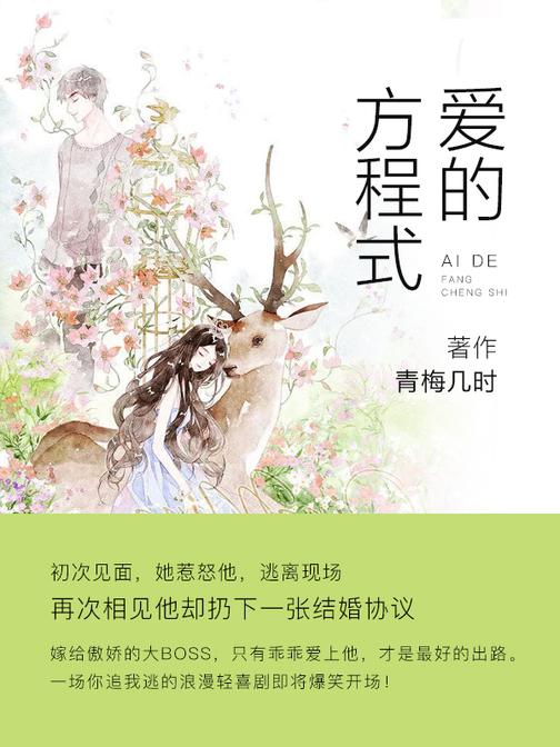 爱的方程式【初次见面，她惹怒他，逃离现场，再次相见他却扔下一张结婚协议。】
