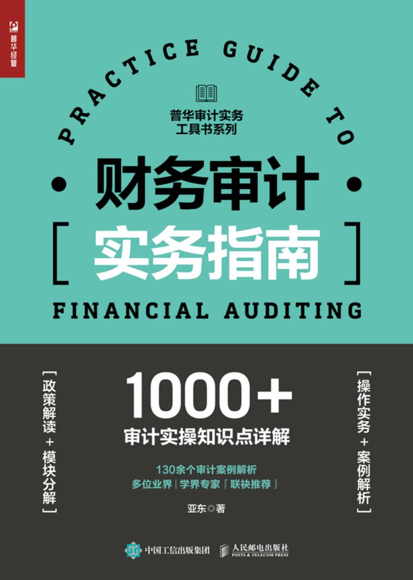 财务审计实务指南