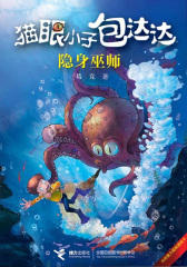 隐身巫师