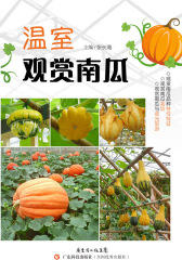 温室观赏南瓜(仅适用PC阅读)