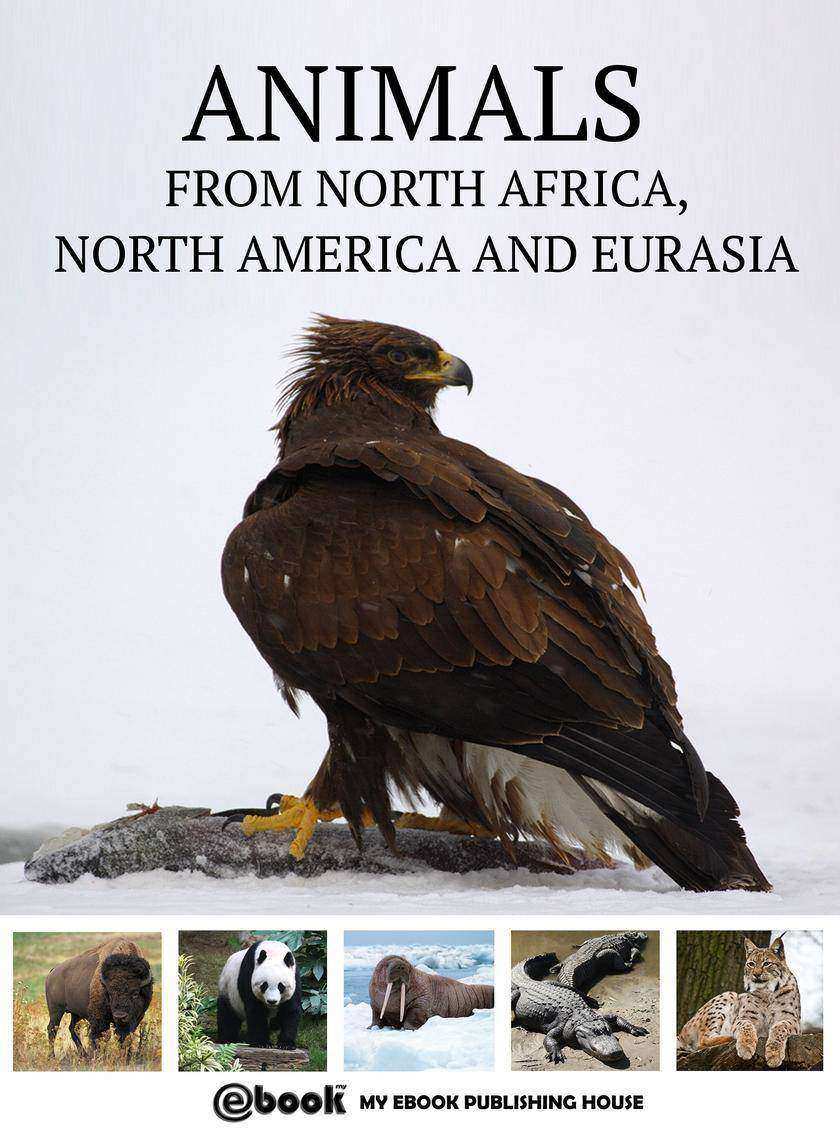 Animals from North Africa, North America and Eurasia