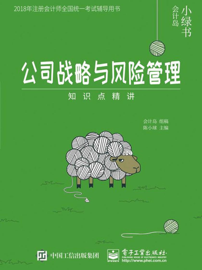 公司战略与风险管理知识点精讲