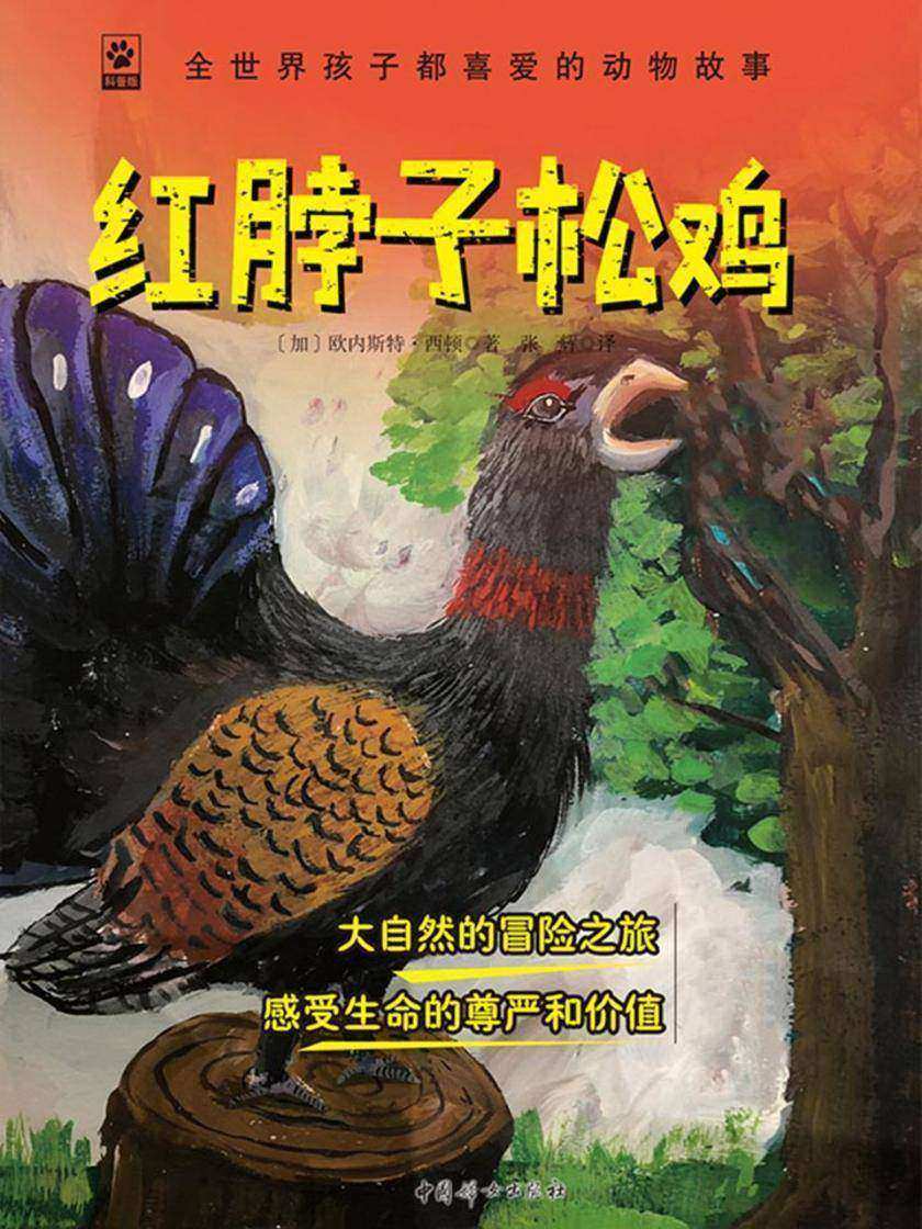 红脖子松鸡