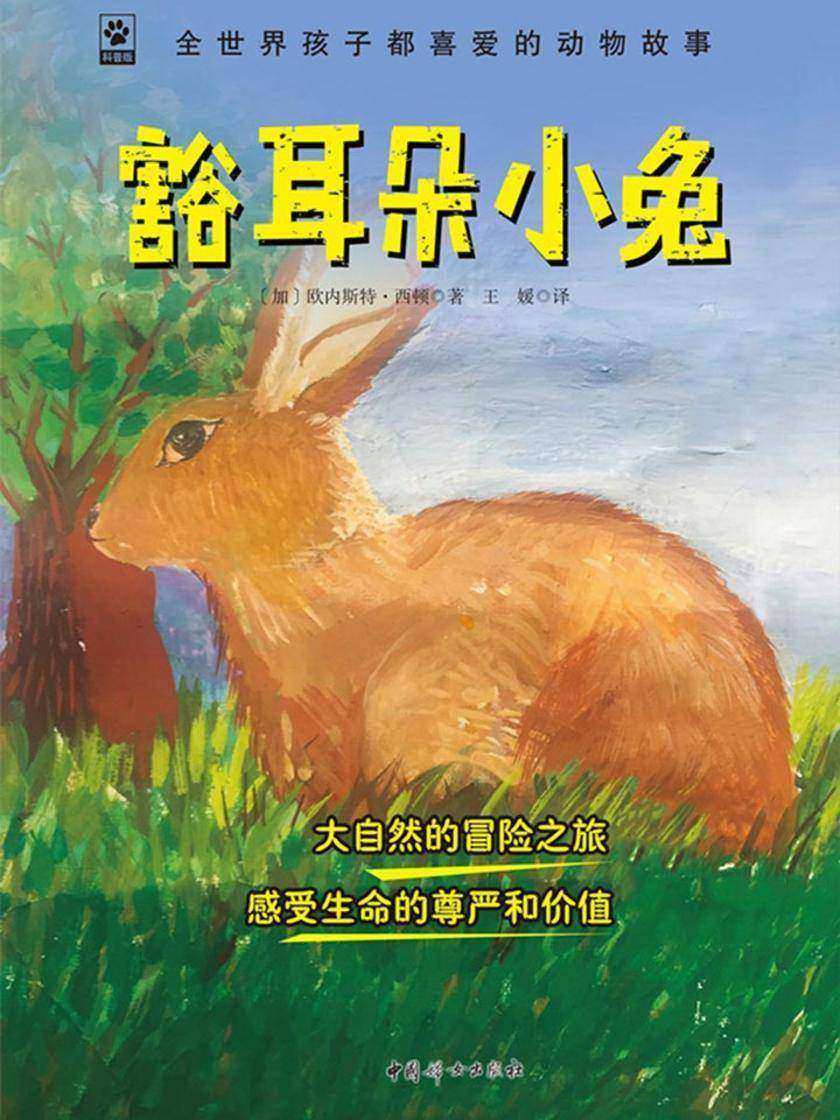 豁耳朵小兔