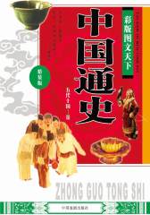 彩版图文天下·中国通史(五代十国—金)