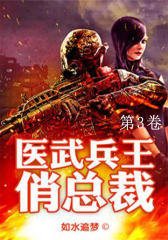 医武兵王俏总裁（第3卷）
