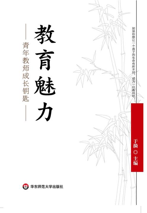 教育魅力：青年教师成长钥匙