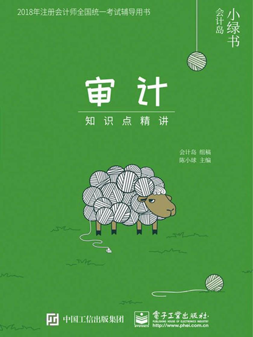 审计知识点精讲