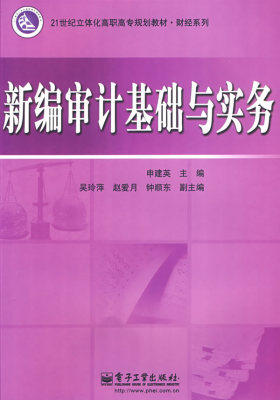 新编审计基础与实务(试读本)