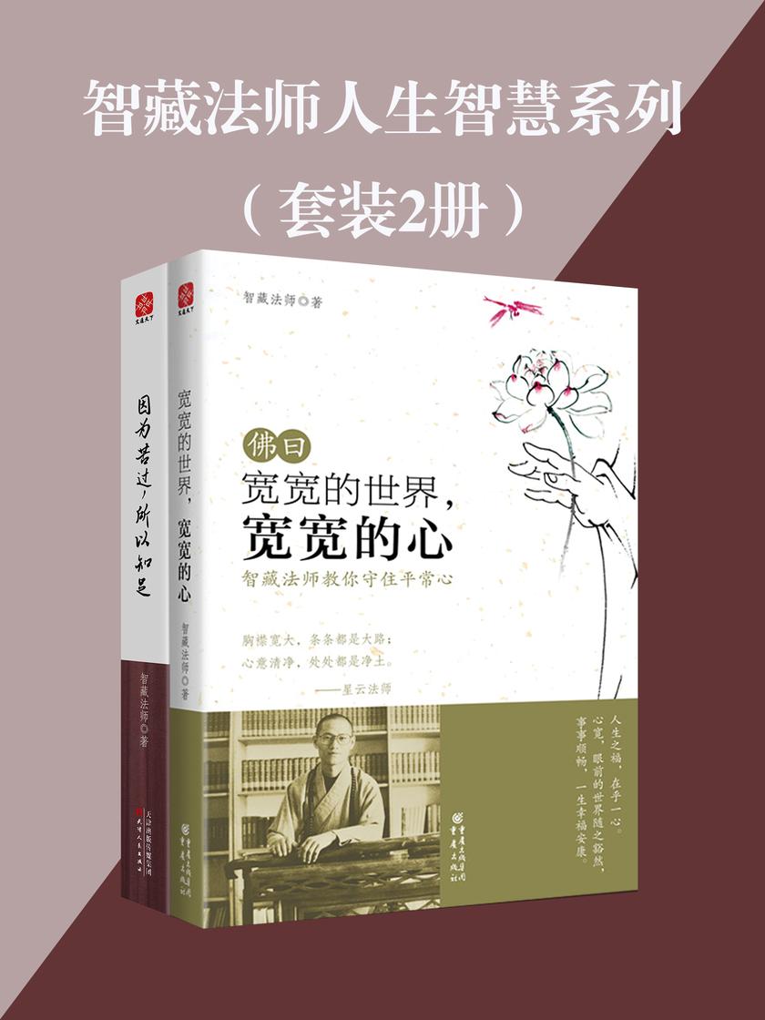 智藏法师人生智慧套装2册