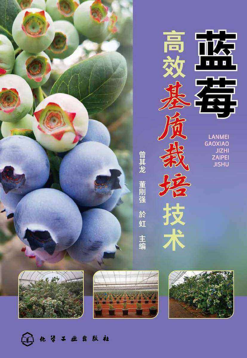 蓝莓*基质栽培技术