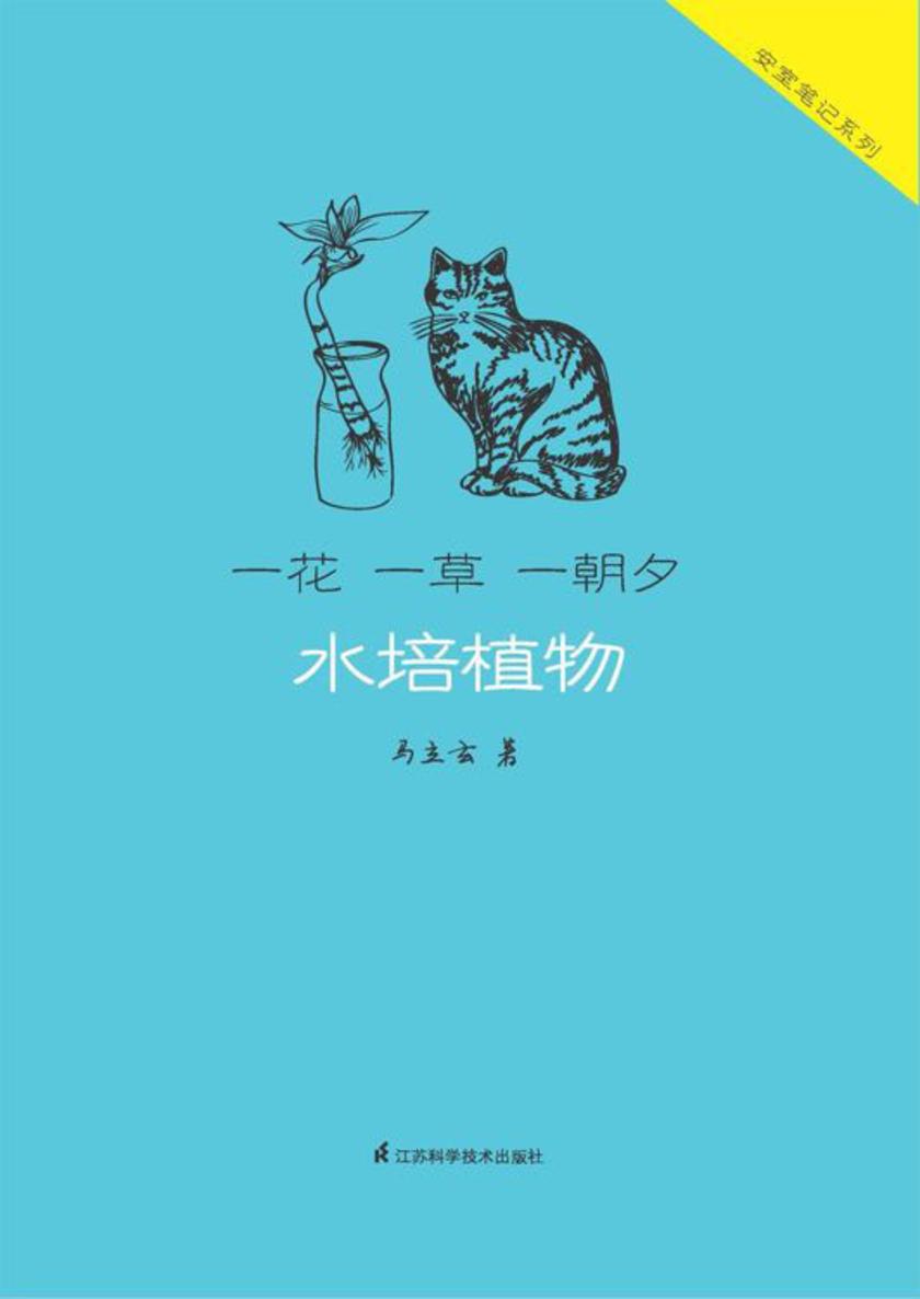 一花一草一朝夕:水培植物