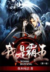 我是霸王（第11卷）
