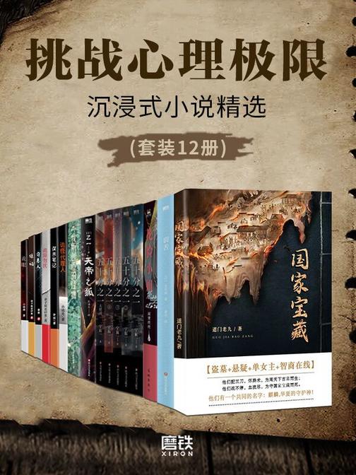 沉浸式小说精选(套装12册)