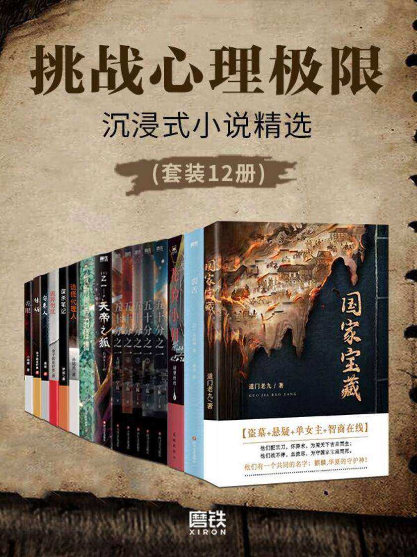 沉浸式小说精选(套装12册)