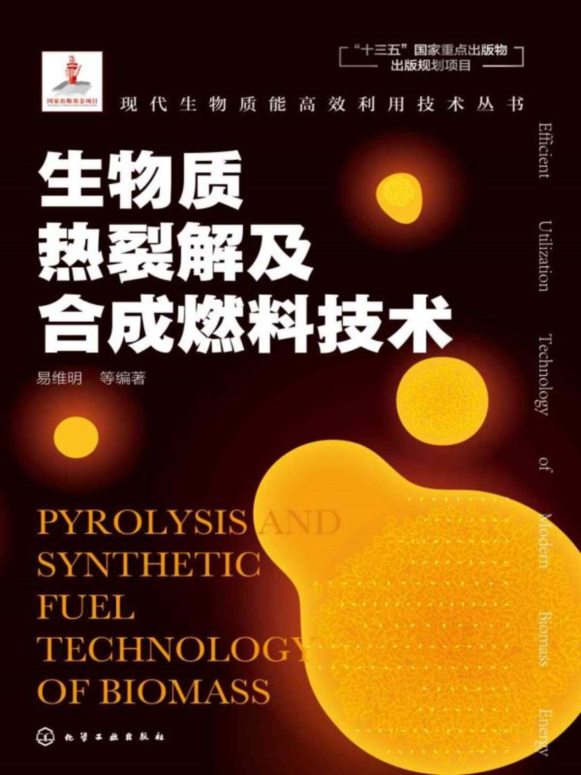 现代生物质能*利用技术丛书--生物质热裂解及合成燃料技术