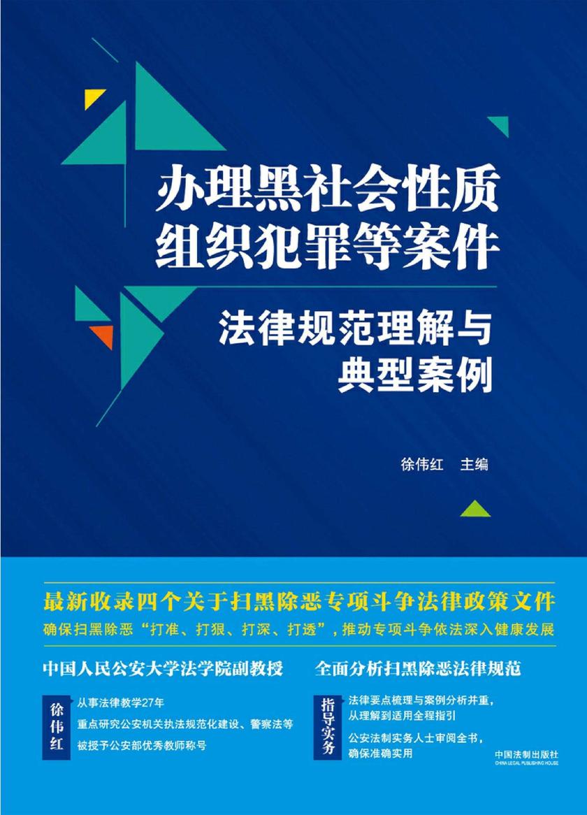 办理黑社会性质组织犯罪等案件法律规范理解与典型案例