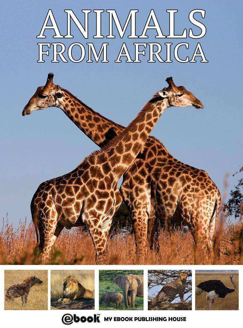 Animals from Africa