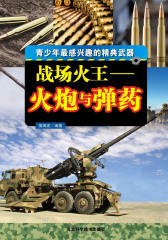 战场火王：火炮与弹药