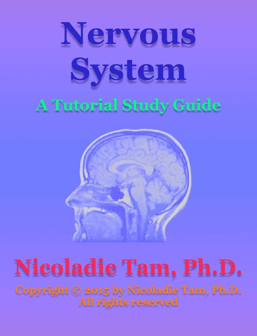 Nervous System: A Tutorial Study Guide