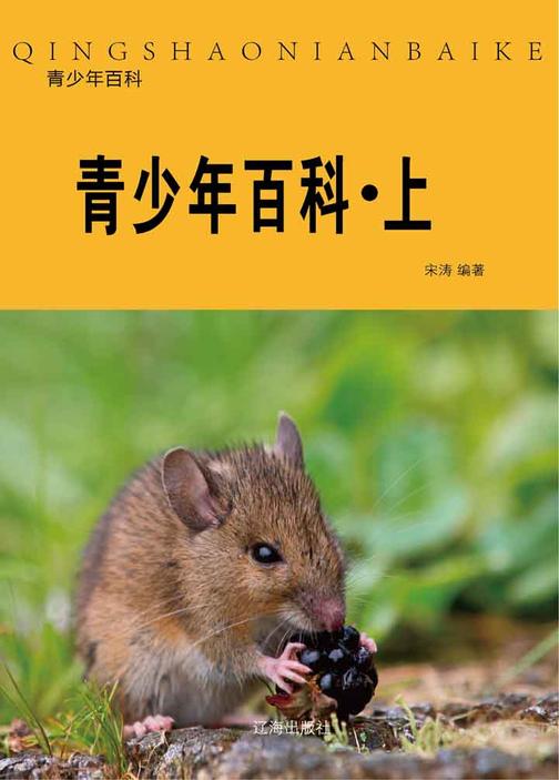 青少年百科（上）