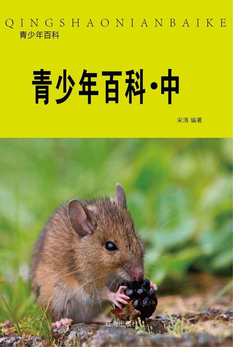 青少年百科（中）