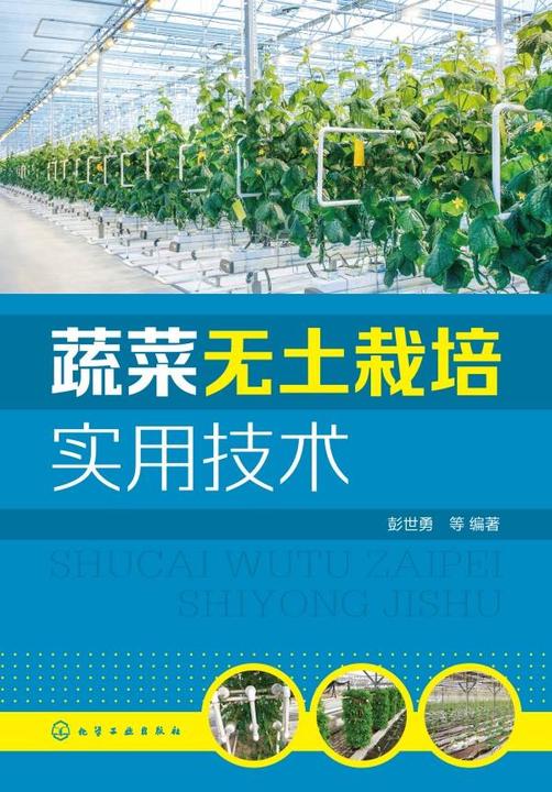 蔬菜无土栽培实用技术