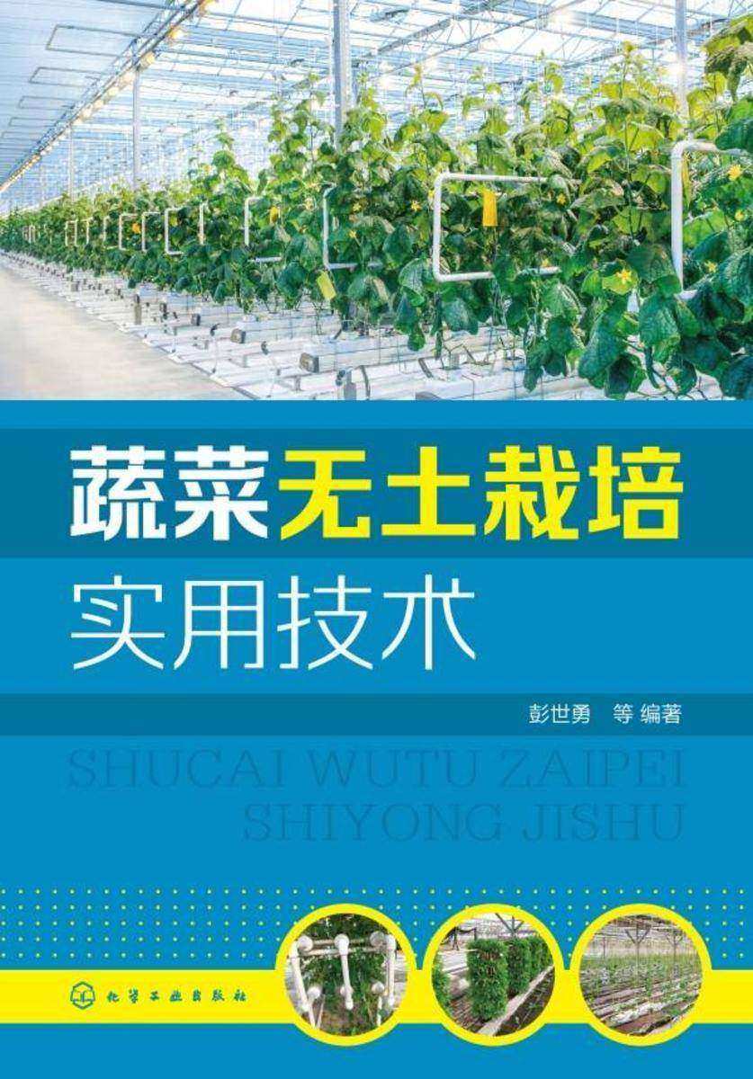 蔬菜无土栽培实用技术
