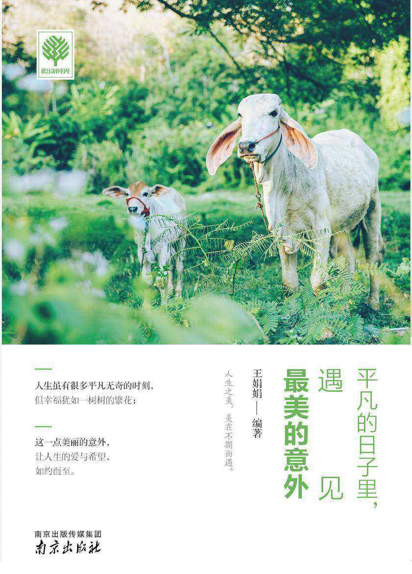 平凡的日子里,遇见最美的意外