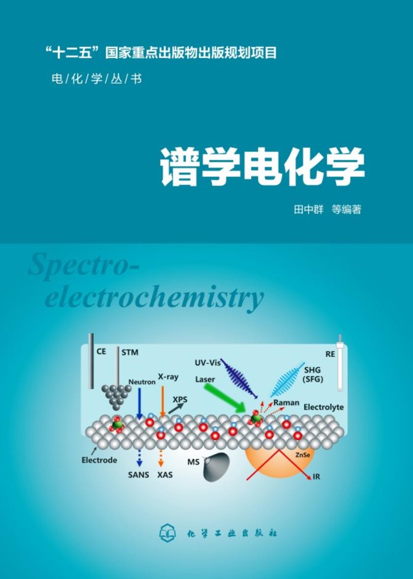 电化学丛书--谱学电化学