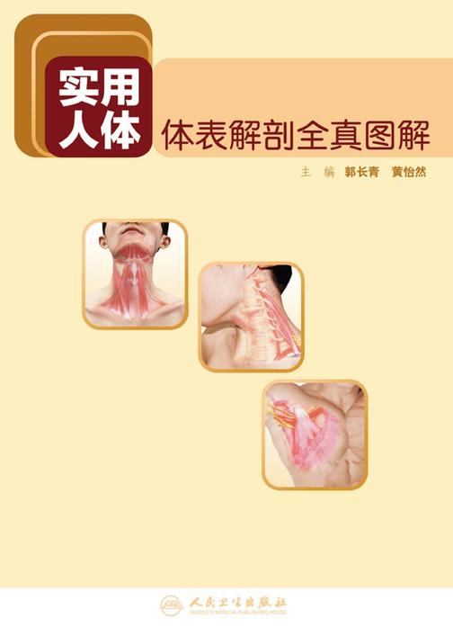 实用人体体表解剖全真图解