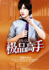 美女总裁的极品高手