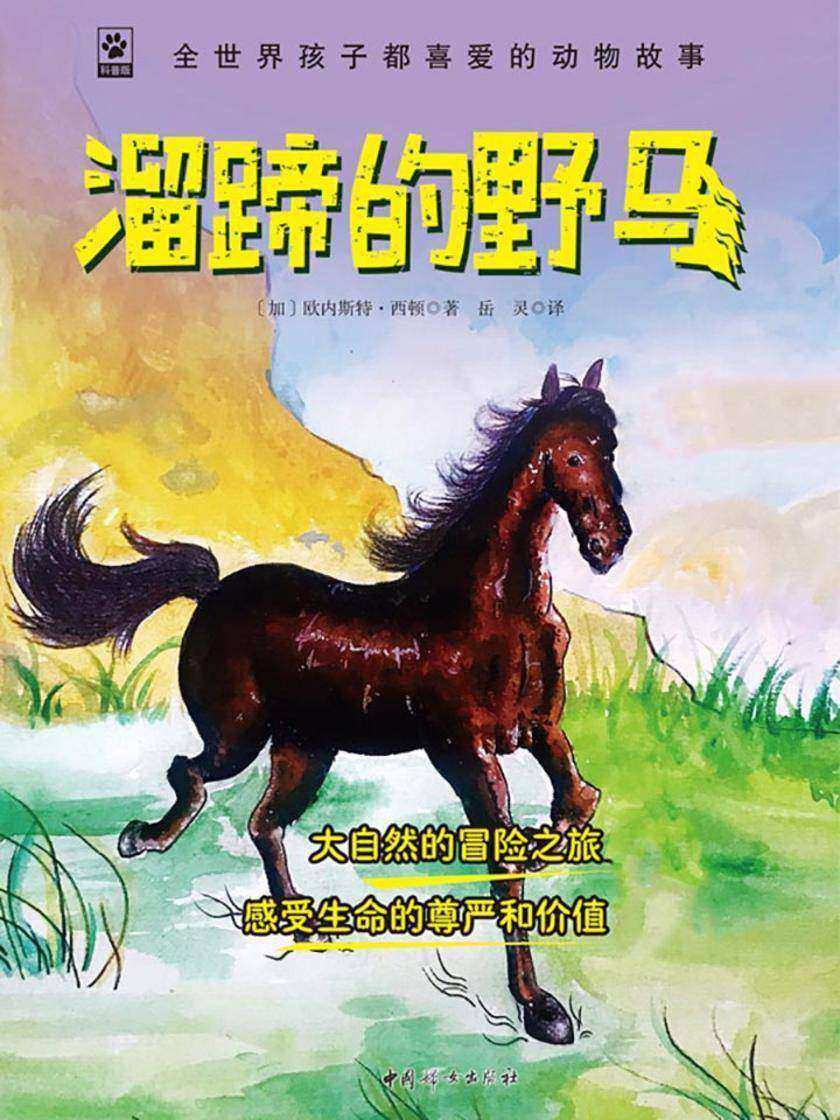 溜蹄的野马