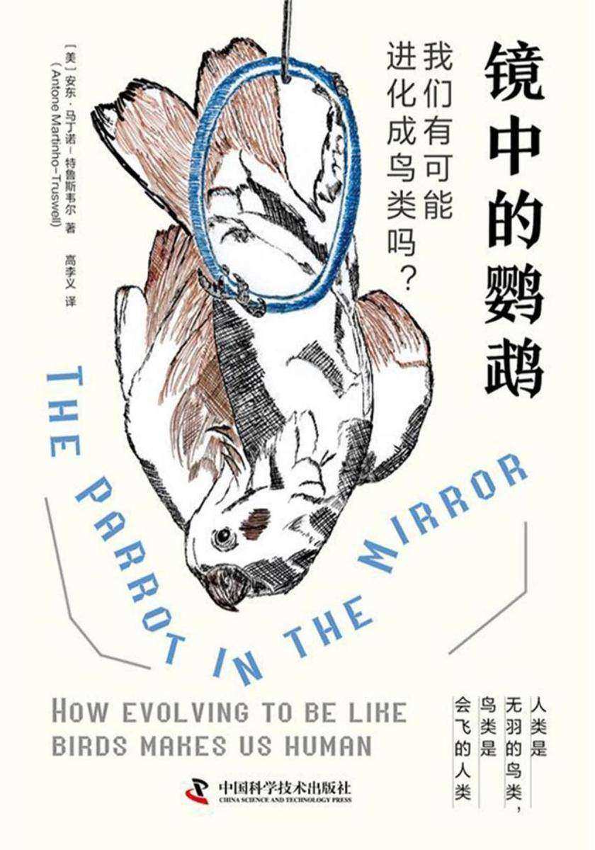 镜中的鹦鹉:我们有可能进化成鸟类吗?