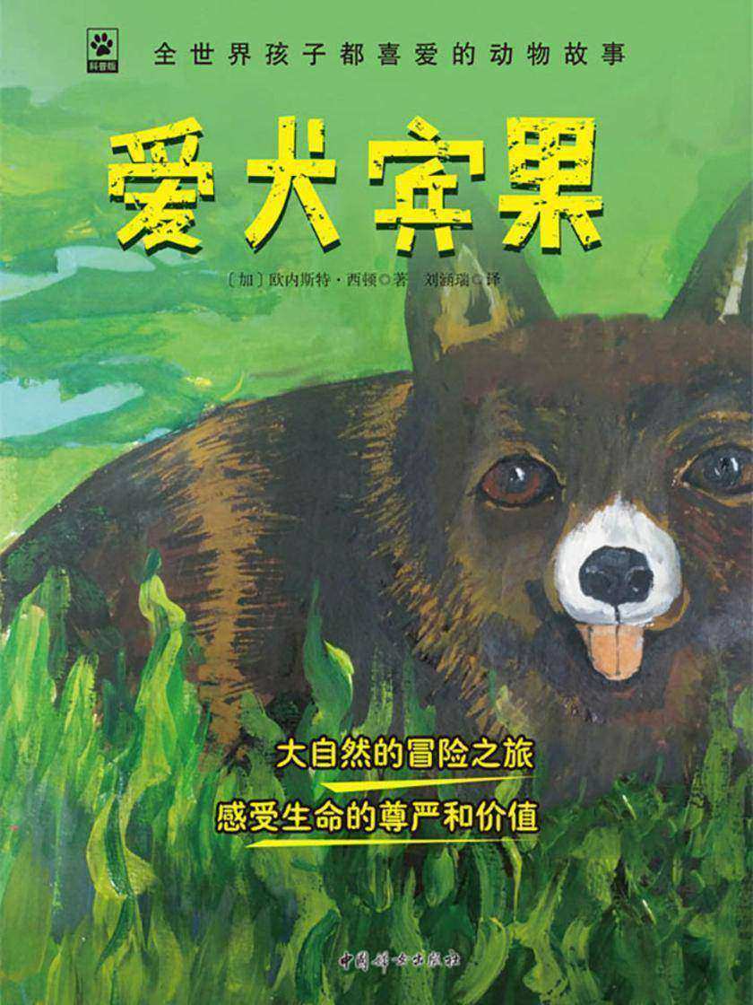 爱犬宾果