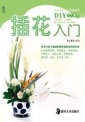 插花入门