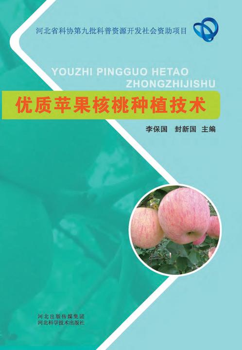 优质苹果核桃种植技术