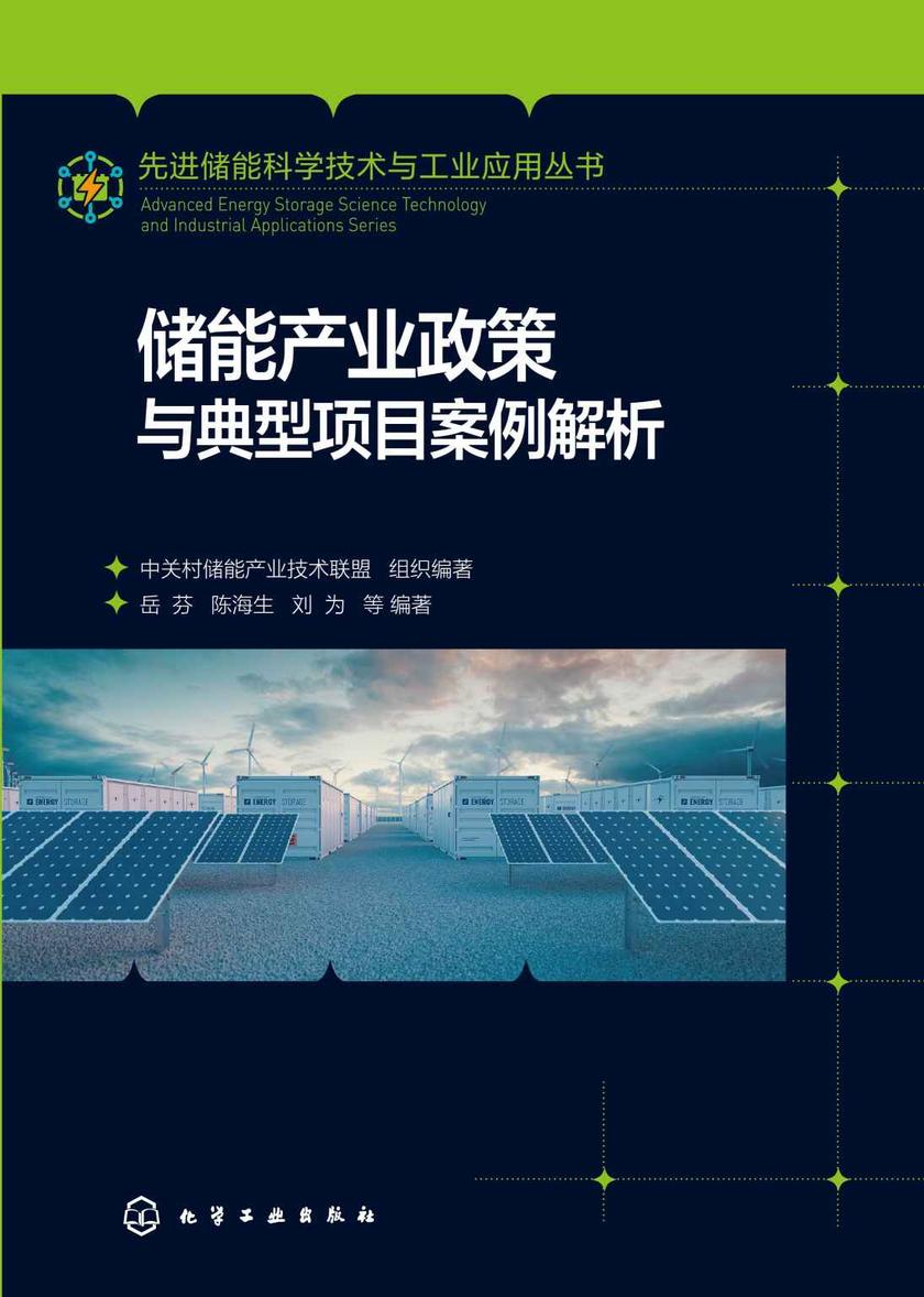 先进储能科学技术与工业应用丛书--储能产业政策与典型项目案例解析