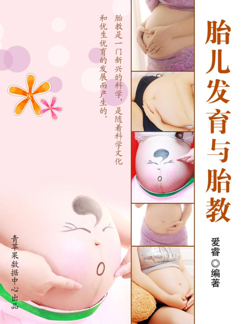 胎儿发育与胎教