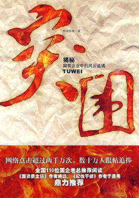 突围(试读本)