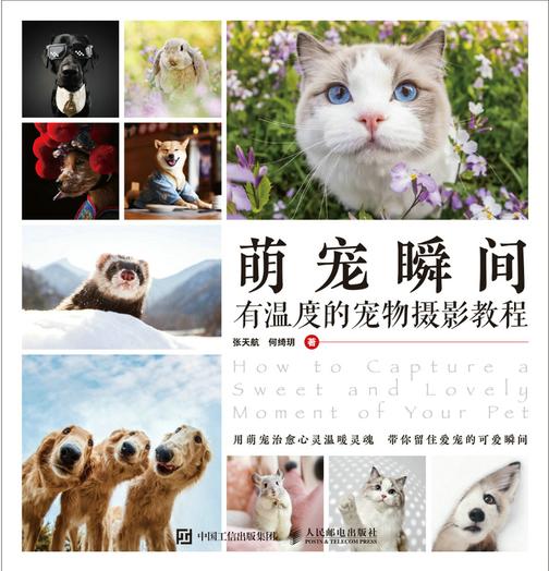 萌宠瞬间:有温度的宠物摄影教程