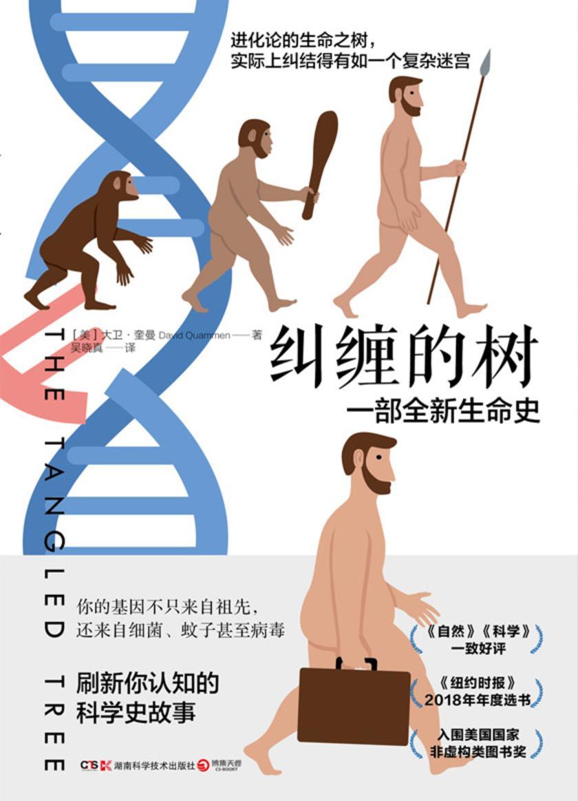 纠缠的树