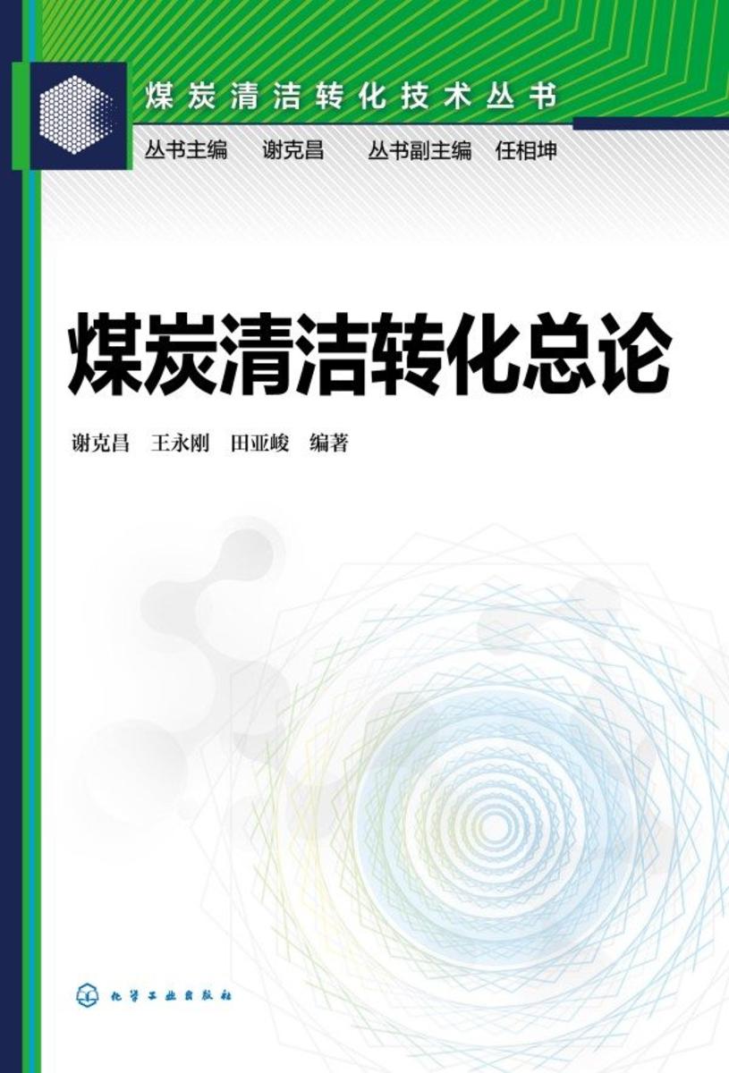煤炭清洁转化技术丛书--煤炭清洁转化总论